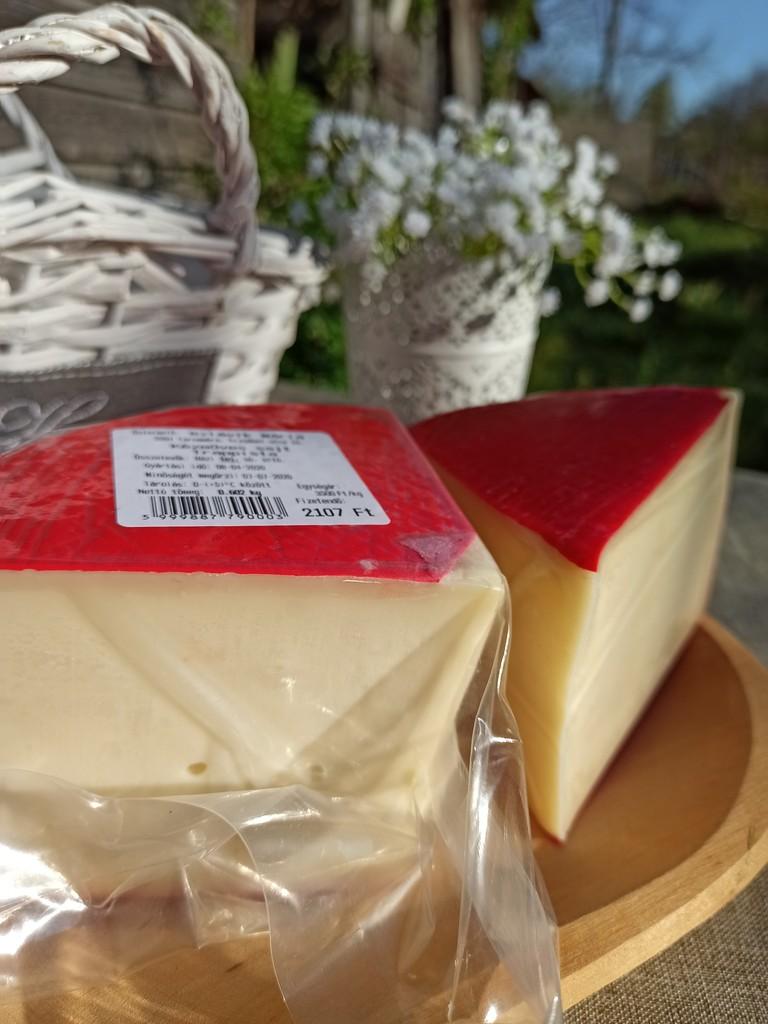 Trappista típusú sajt